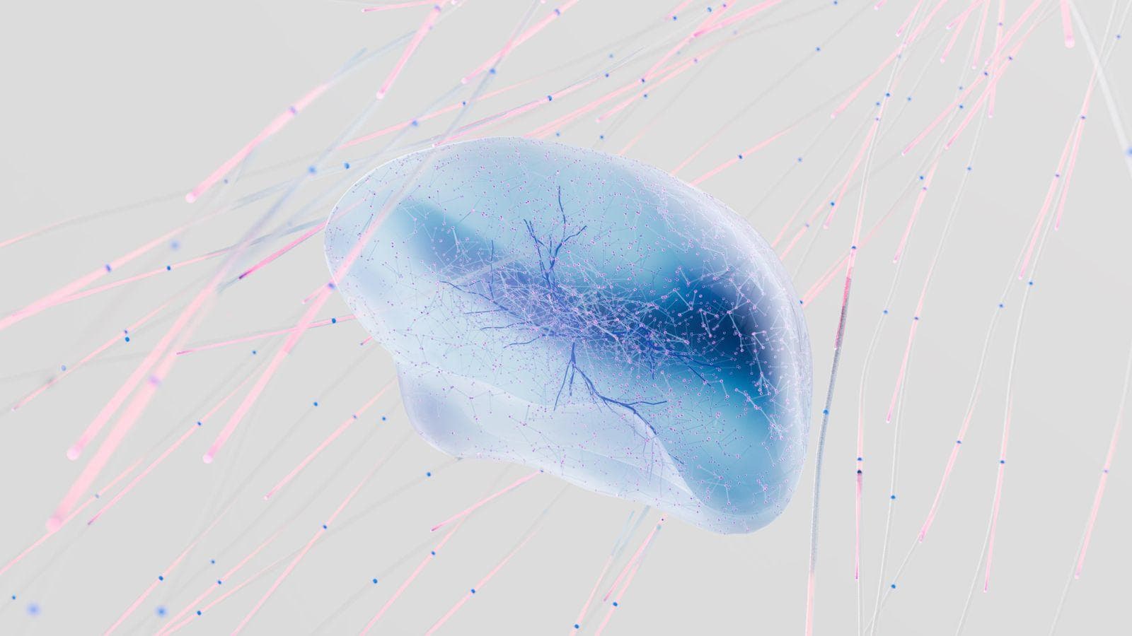 Cognitive & Neuropeptide Research