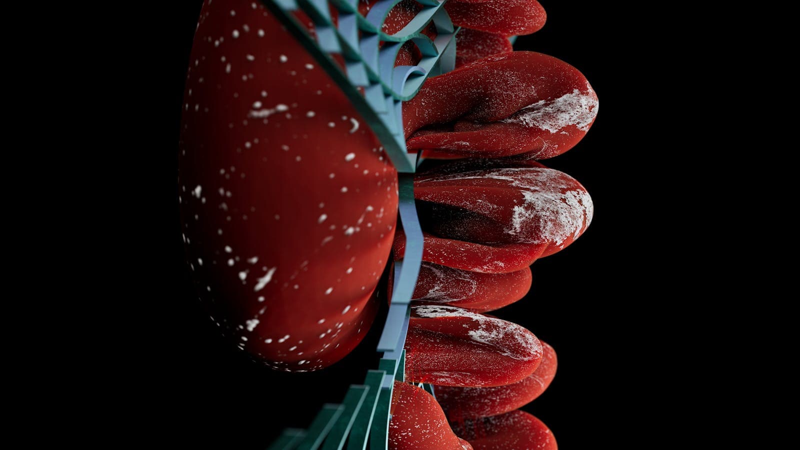 Longevity & Specialty Research